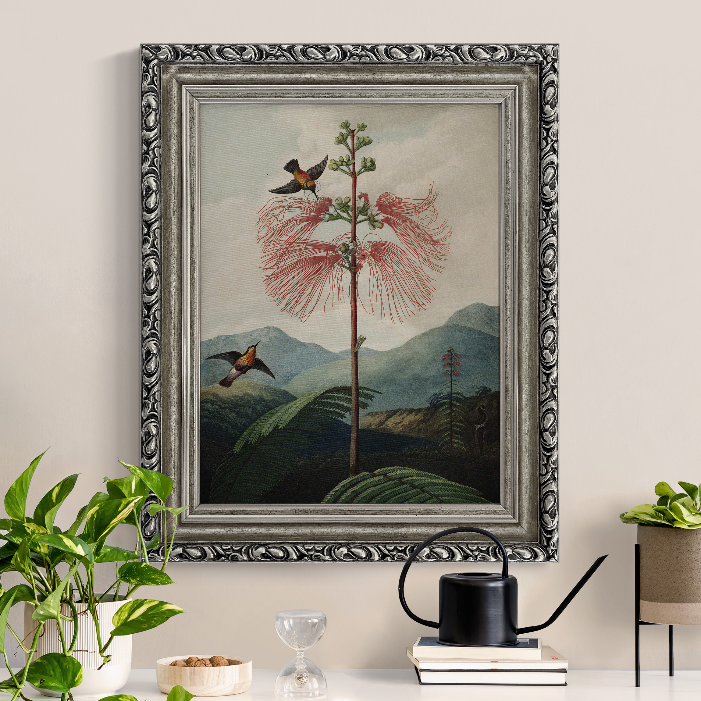 Gerahmtes Leinwandbild Botanik Vintage Illustration Blüte und Kolibri günstig online kaufen