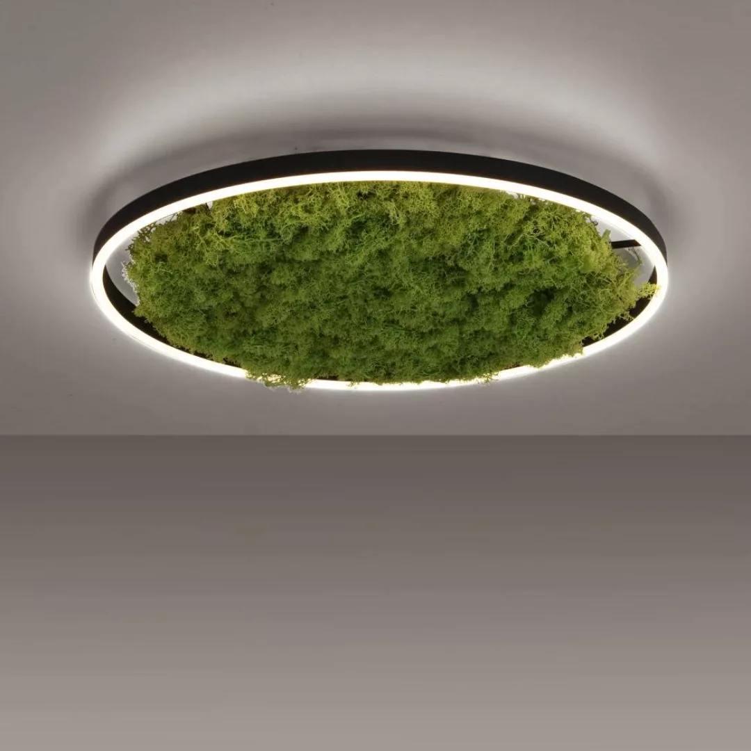LED Deckenleuchte Green Ritus in Moos 28W 3650lm 585mm günstig online kaufen