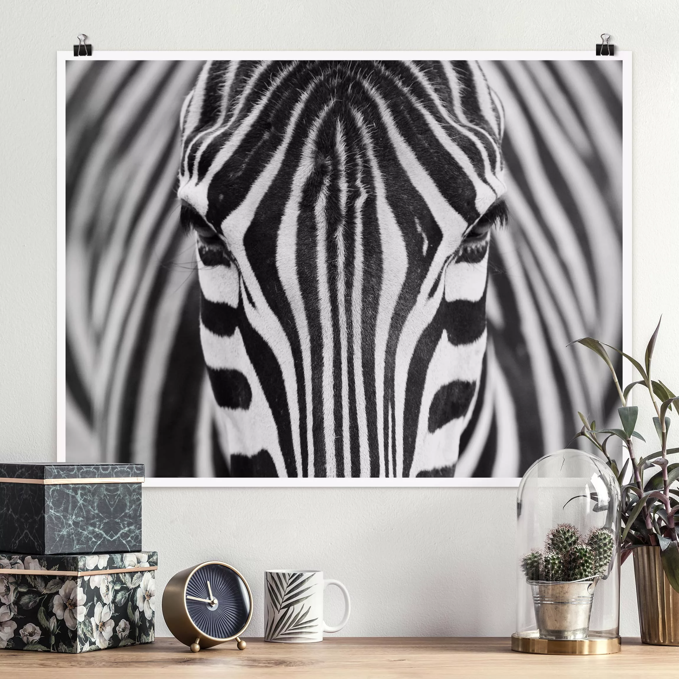 Poster Tiere - Querformat Zebra Look günstig online kaufen