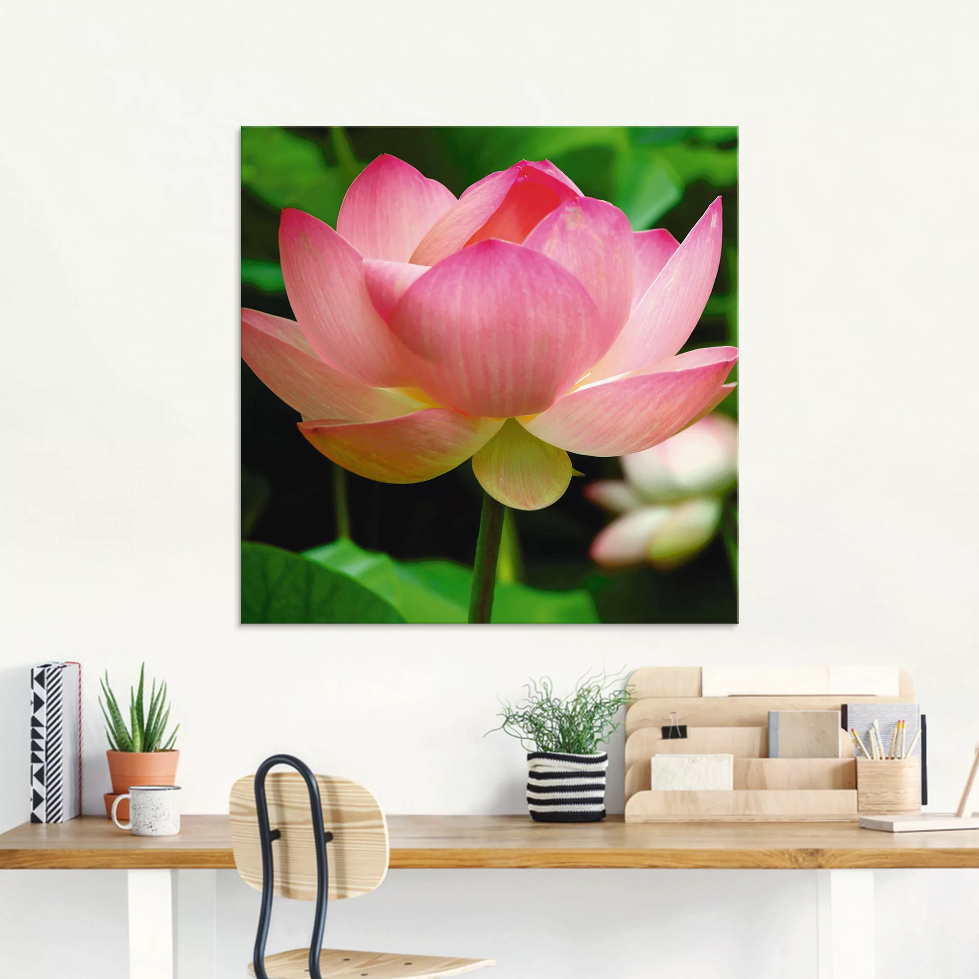 Artland Glasbild "Lotus - Seerose", Blumen, (1 St.), in verschiedenen Größe günstig online kaufen