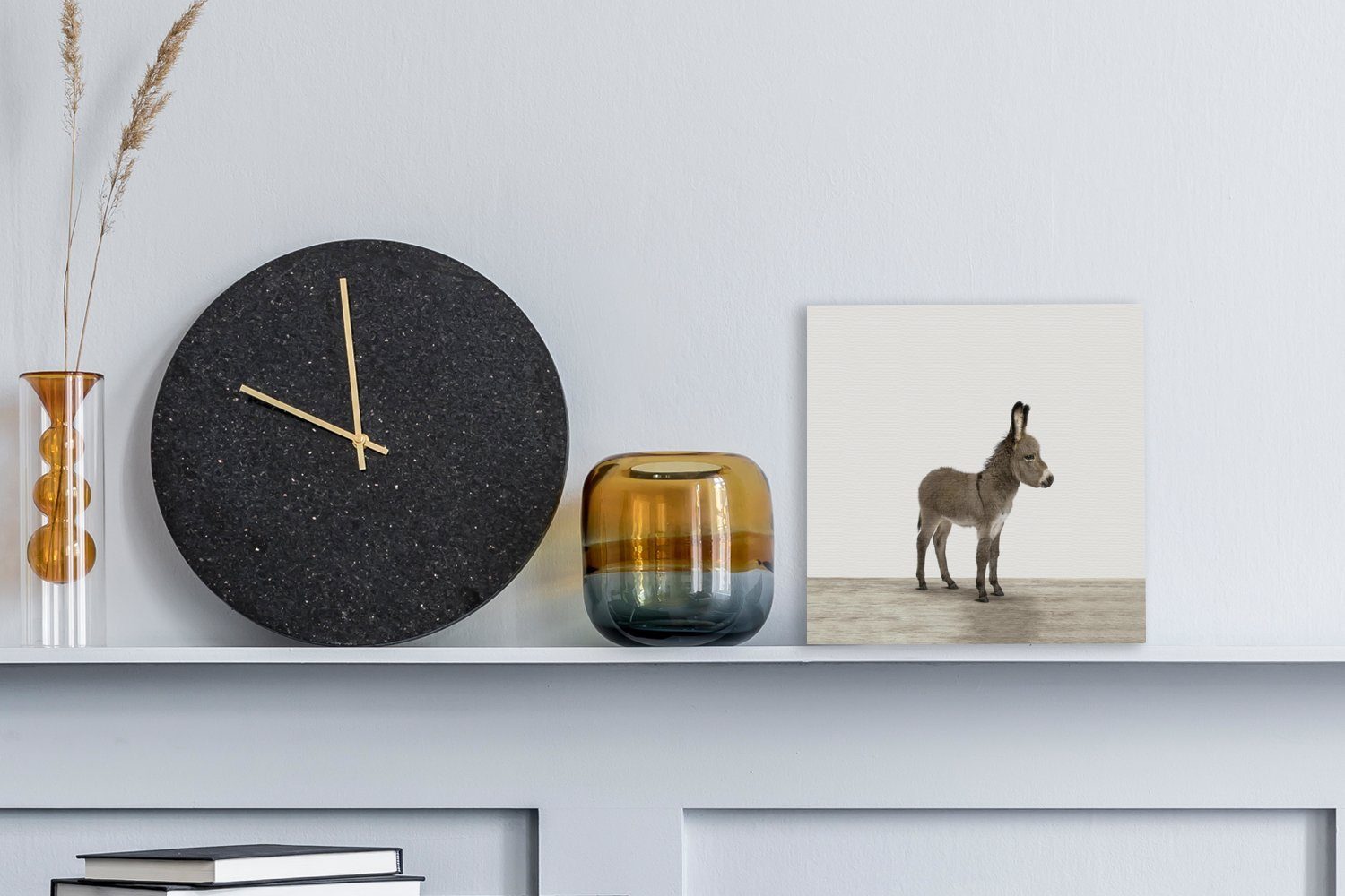 OneMillionCanvasses® Leinwandbild Esel - Tiere - günstig online kaufen