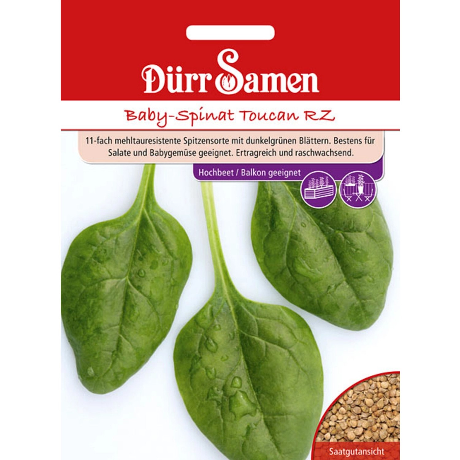 Dürr Samen Babyspinat Toucan Rz Saatgut günstig online kaufen