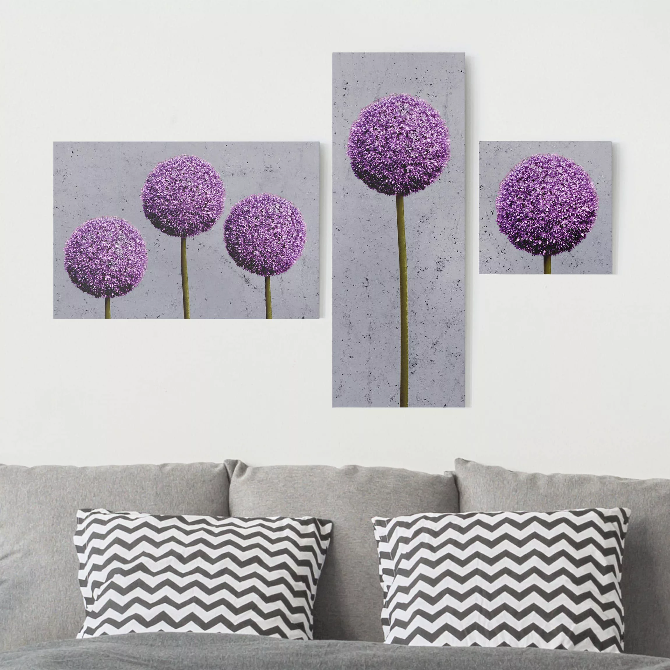 3-teiliges Leinwandbild - Querformat Allium Blüten Kugeln günstig online kaufen