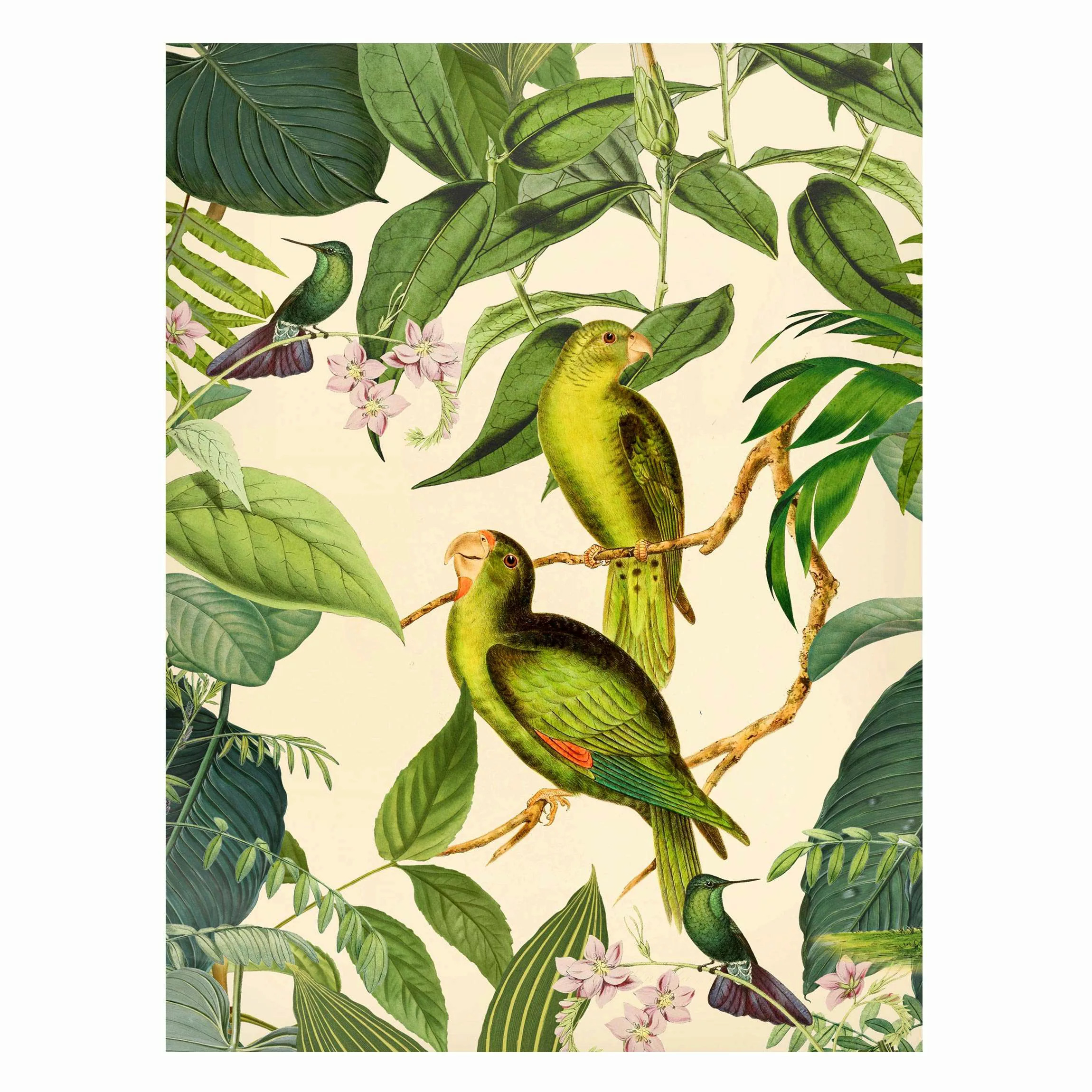 Magnettafel Tiere - Hochformat 3:4 Vintage Collage - Papageien im Dschungel günstig online kaufen