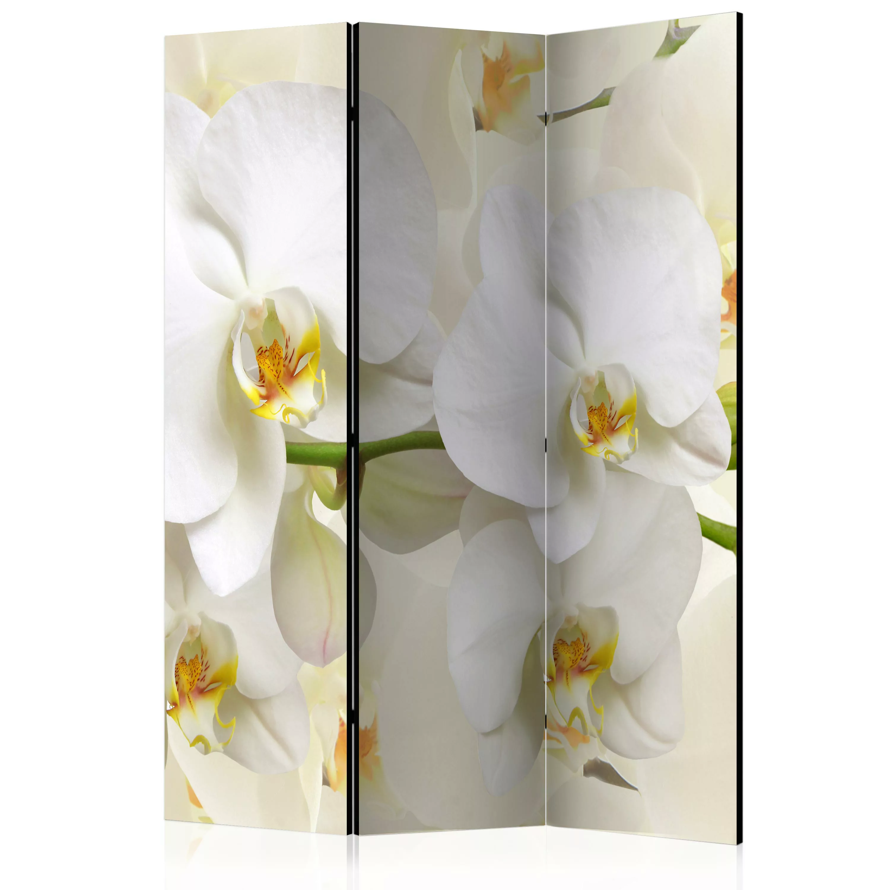 3-teiliges Paravent - Orchid Branch [room Dividers] günstig online kaufen