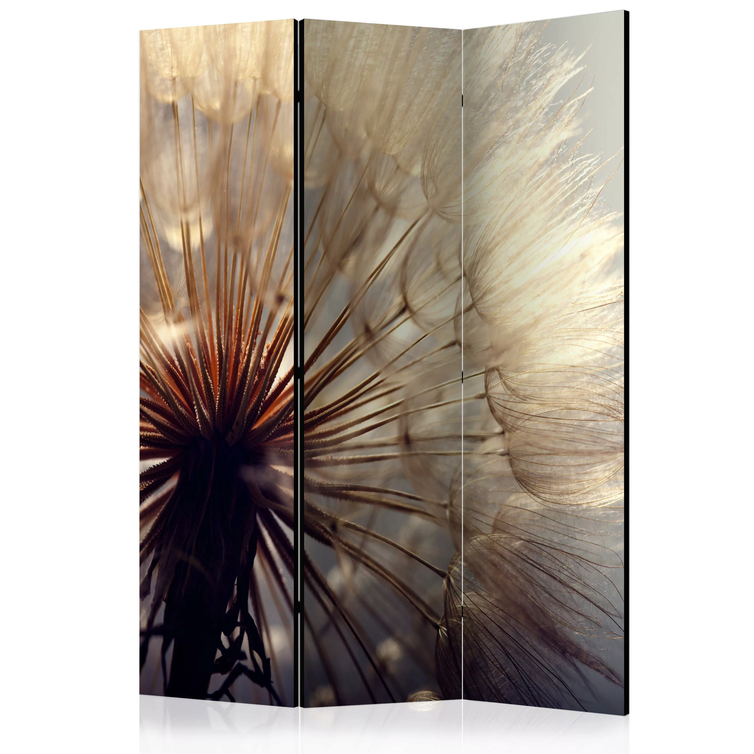 3-teiliges Paravent - Dandelion Kiss [room Dividers] günstig online kaufen