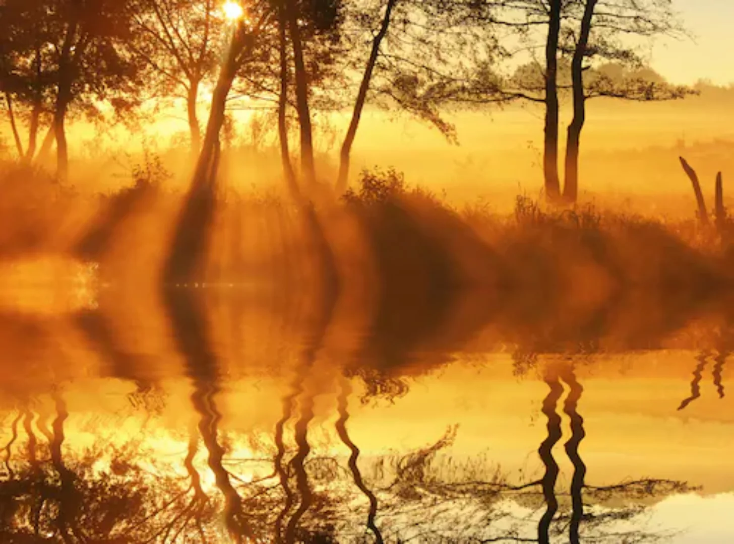 Papermoon Fototapete »DÄMMERUNG-REFLEXION VON BÄUMEN UFER FLUSS SEE SONNE« günstig online kaufen