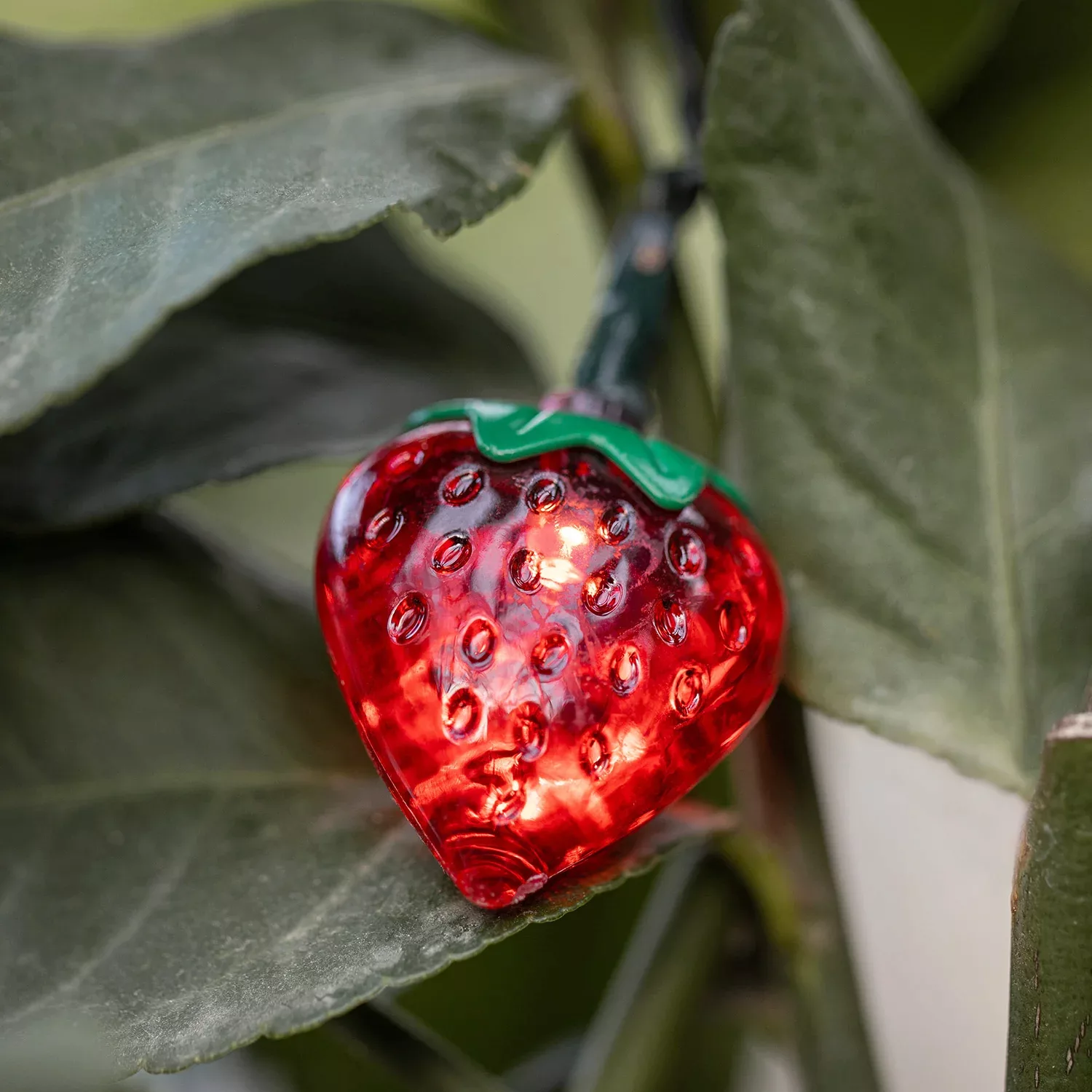 20er Solar Lichterkette Erdbeeren günstig online kaufen