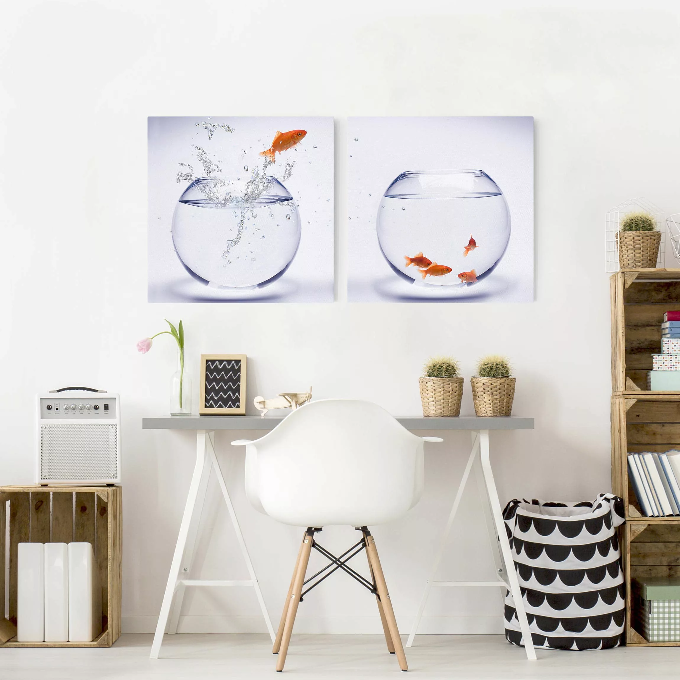 2-teiliges Leinwandbild Tiere - Quadrat Flying Goldfish günstig online kaufen