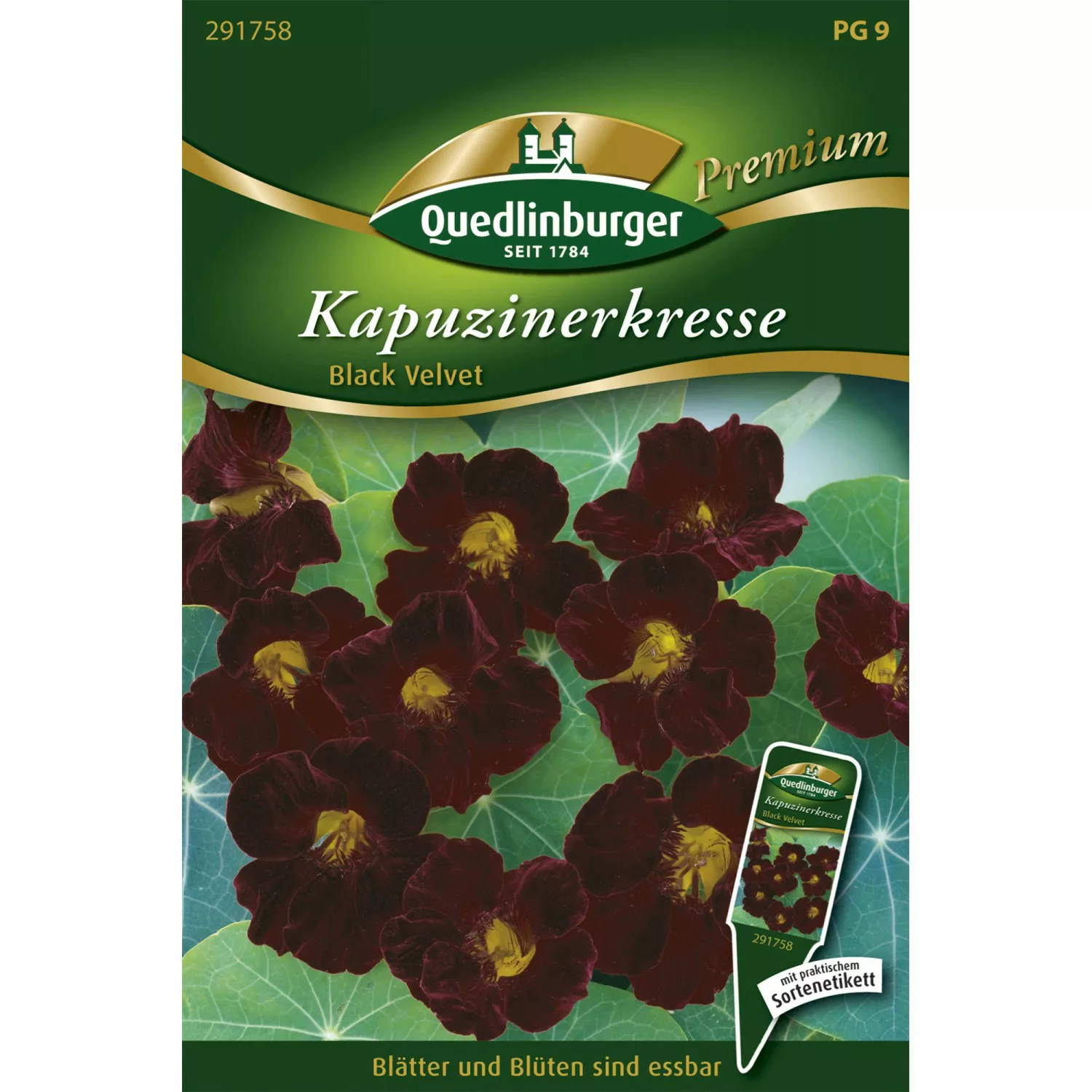 Quedlinburger Kapuzinerkresse ''Black Velvet'' günstig online kaufen