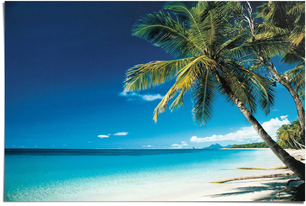 Reinders Poster "Palme am Strand", (1 St.) günstig online kaufen