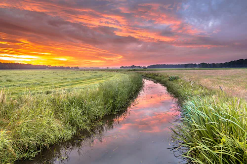 Papermoon Fototapete »Fluss in Feld« günstig online kaufen