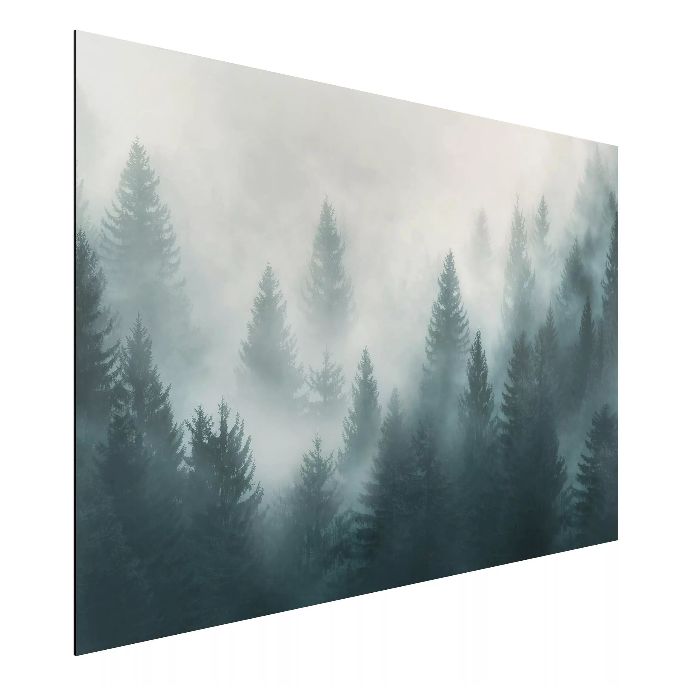 Alu-Dibond Bild Natur & Landschaft - Querformat 3:2 Nadelwald im Nebel günstig online kaufen