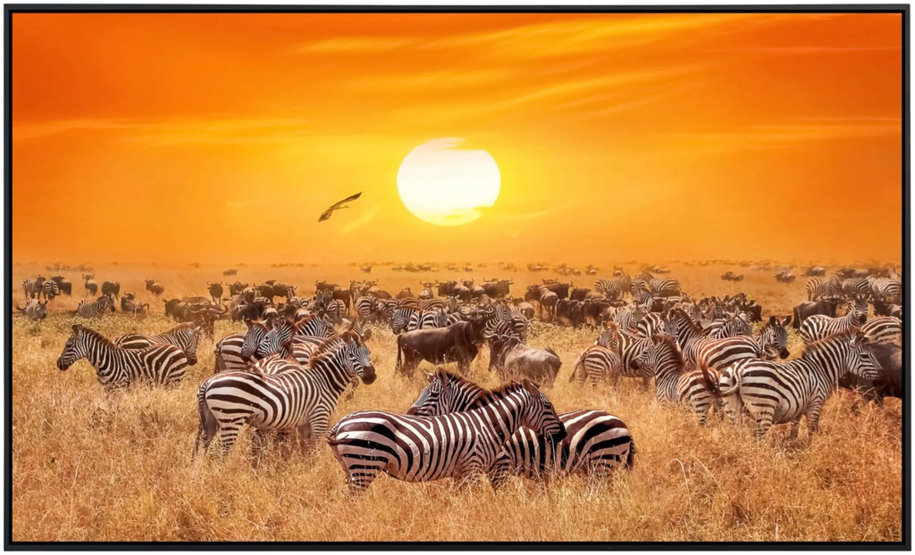 Papermoon Infrarotheizung »Afrikanische Antilopen und Zebras« günstig online kaufen
