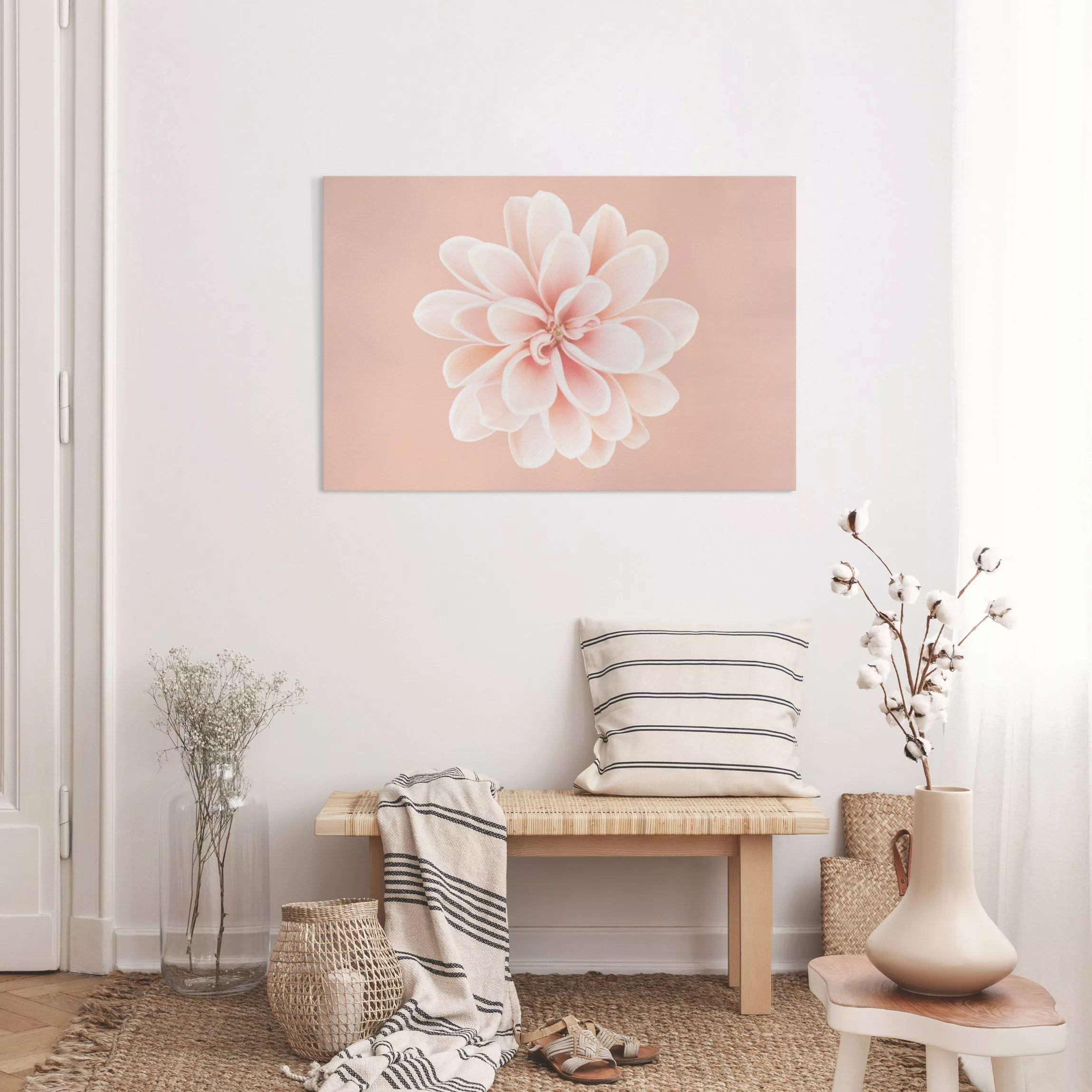 Leinwandbild Dahlie Rosa Pastell Weiß Zentriert günstig online kaufen