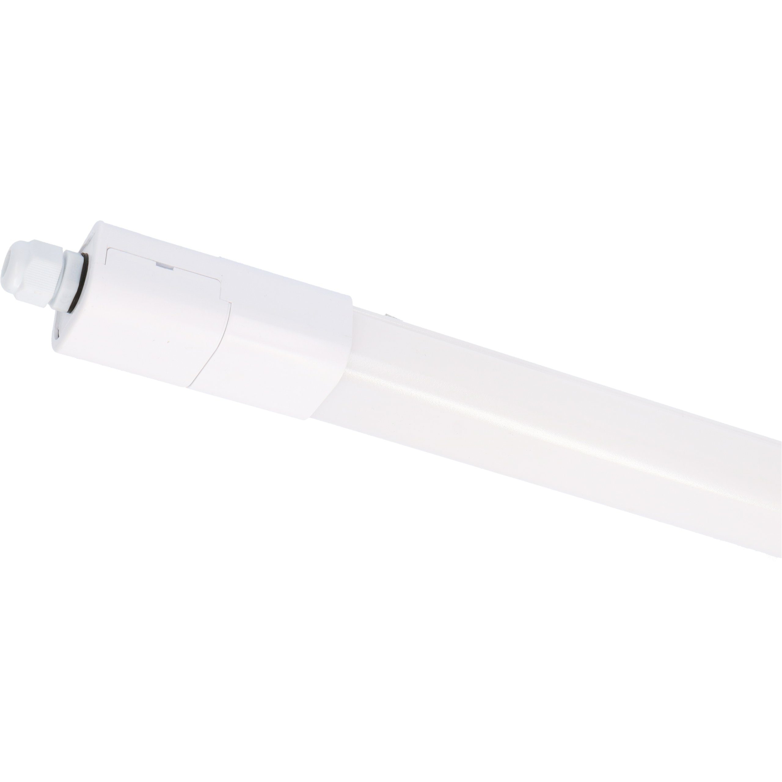 LED's light LED Deckenleuchte 2410253 LED-Feuchtraumleuchte, günstig online kaufen