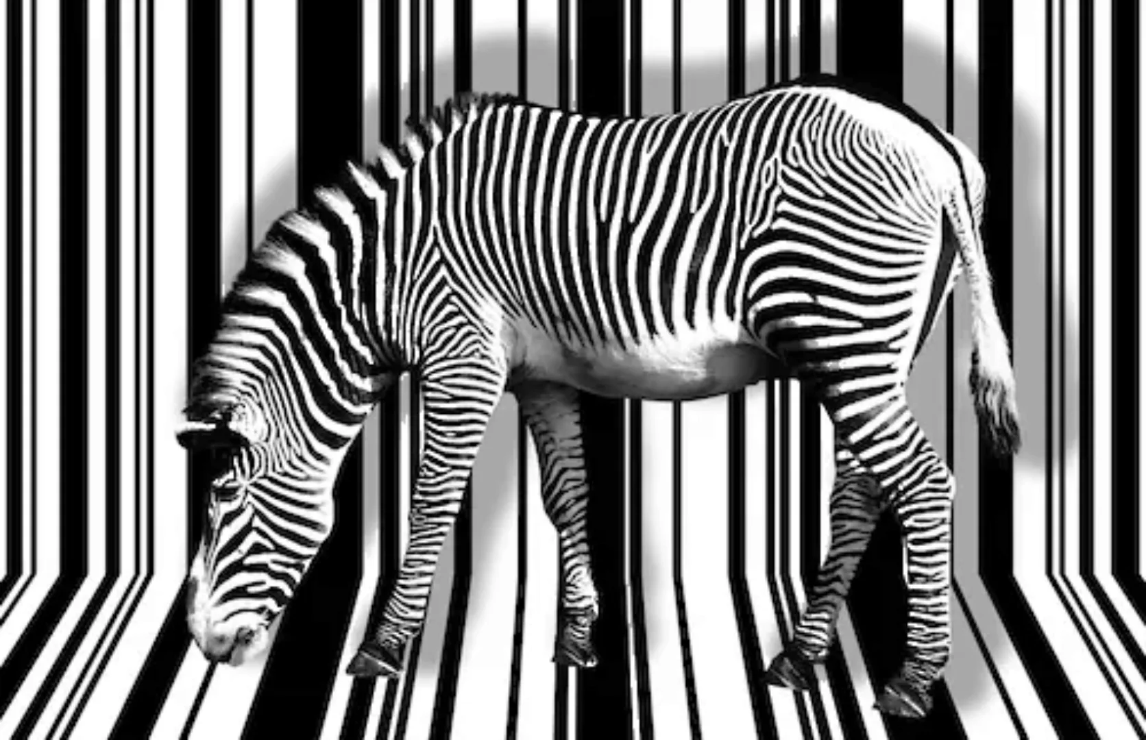 Papermoon Fototapete »Zebra« günstig online kaufen