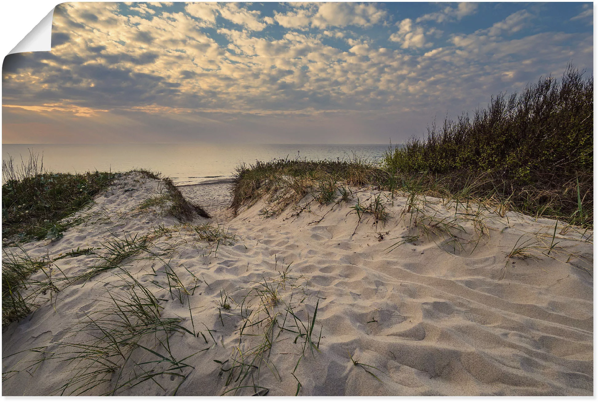 Artland Wandbild "Strand an Küste der Ostsee Graal Müritz", Küstenbilder, ( günstig online kaufen