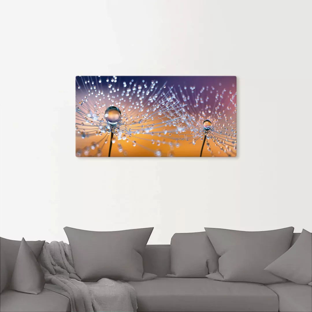 Artland Wandbild "Pusteblumen Tautropfen", Blumenbilder, (1 St.), als Alubi günstig online kaufen