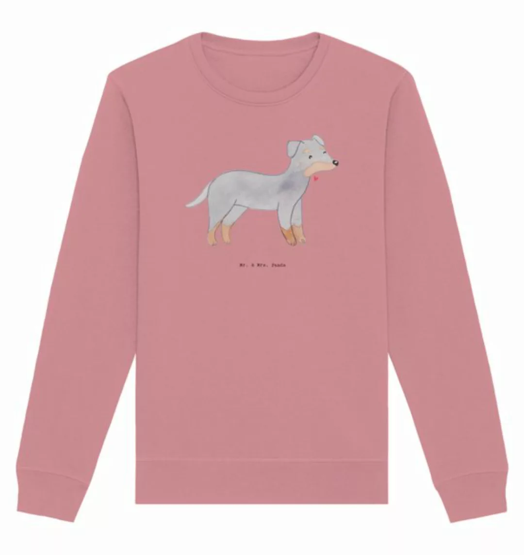 Mr. & Mrs. Panda Longpullover Größe XXL Manchester Terrier Moment - Canyon günstig online kaufen