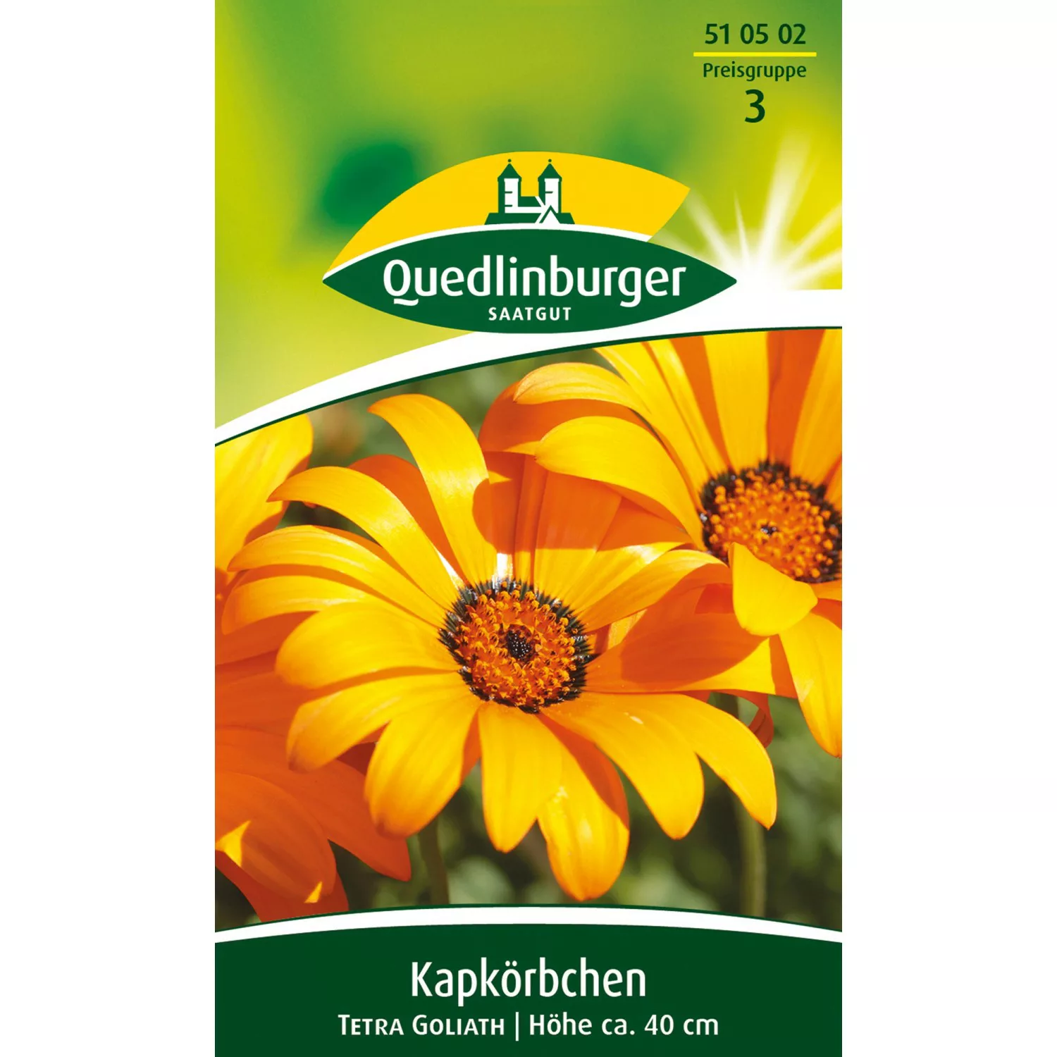 Quedlinburger Kapkörbchen ''Tetra Goliath'' günstig online kaufen