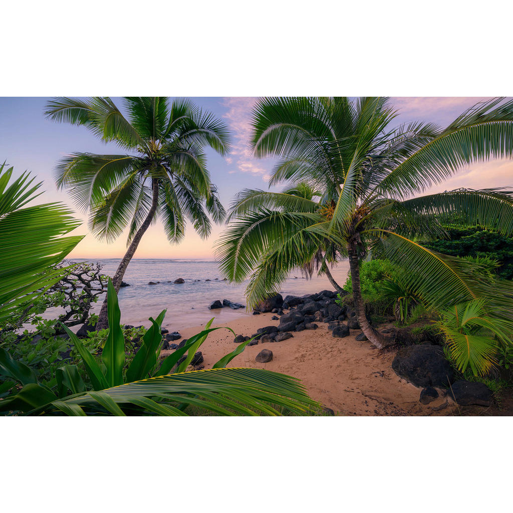 Komar Fototapete Hawaiian Dreams B/L: ca. 450x280 cm günstig online kaufen