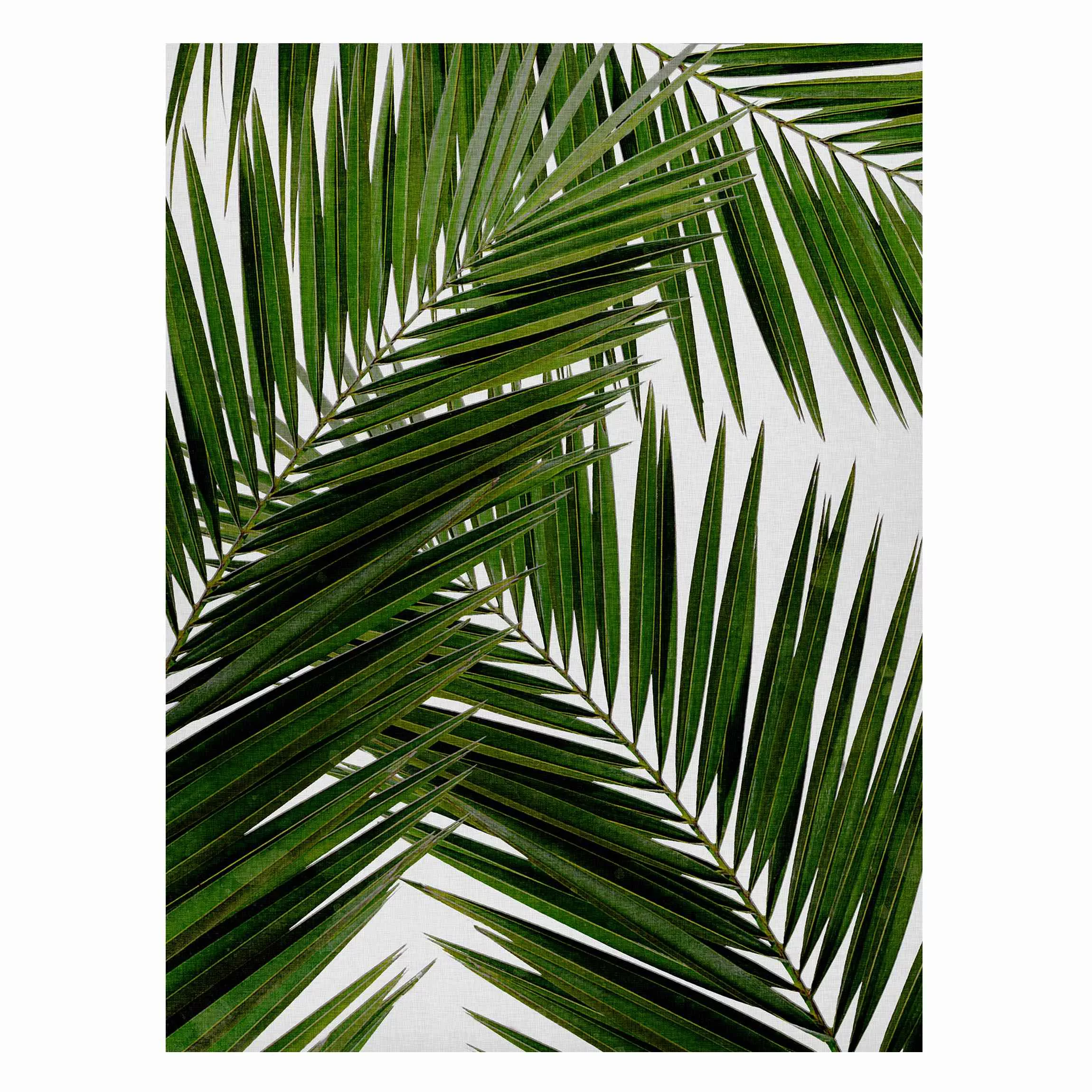 Magnettafel Blick durch grüne Palmenblätter günstig online kaufen