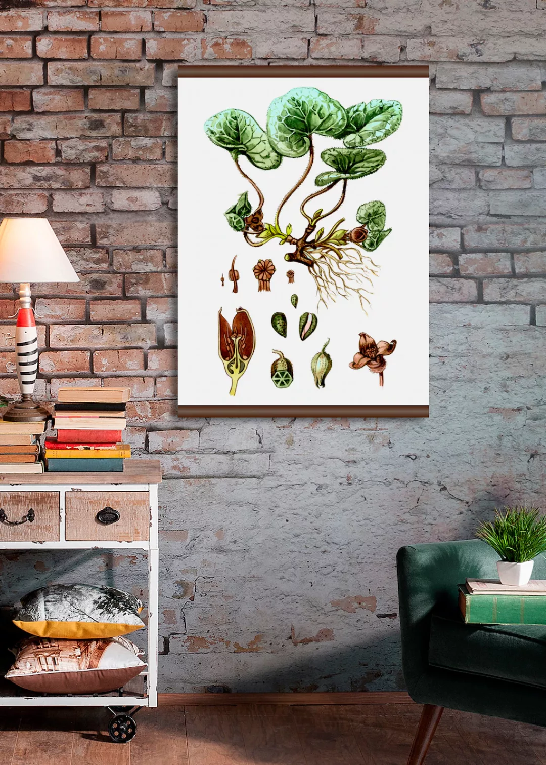 queence Leinwandbild "Pflanzen Anatomie", 50x70 cm günstig online kaufen