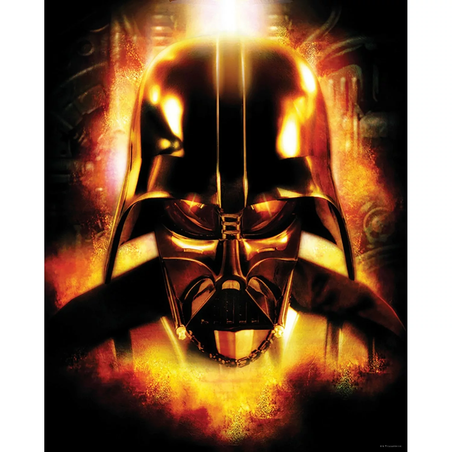 Disney Poster Star Wars Vader Schwarz-Weiß 40 x 50 cm 611664 günstig online kaufen