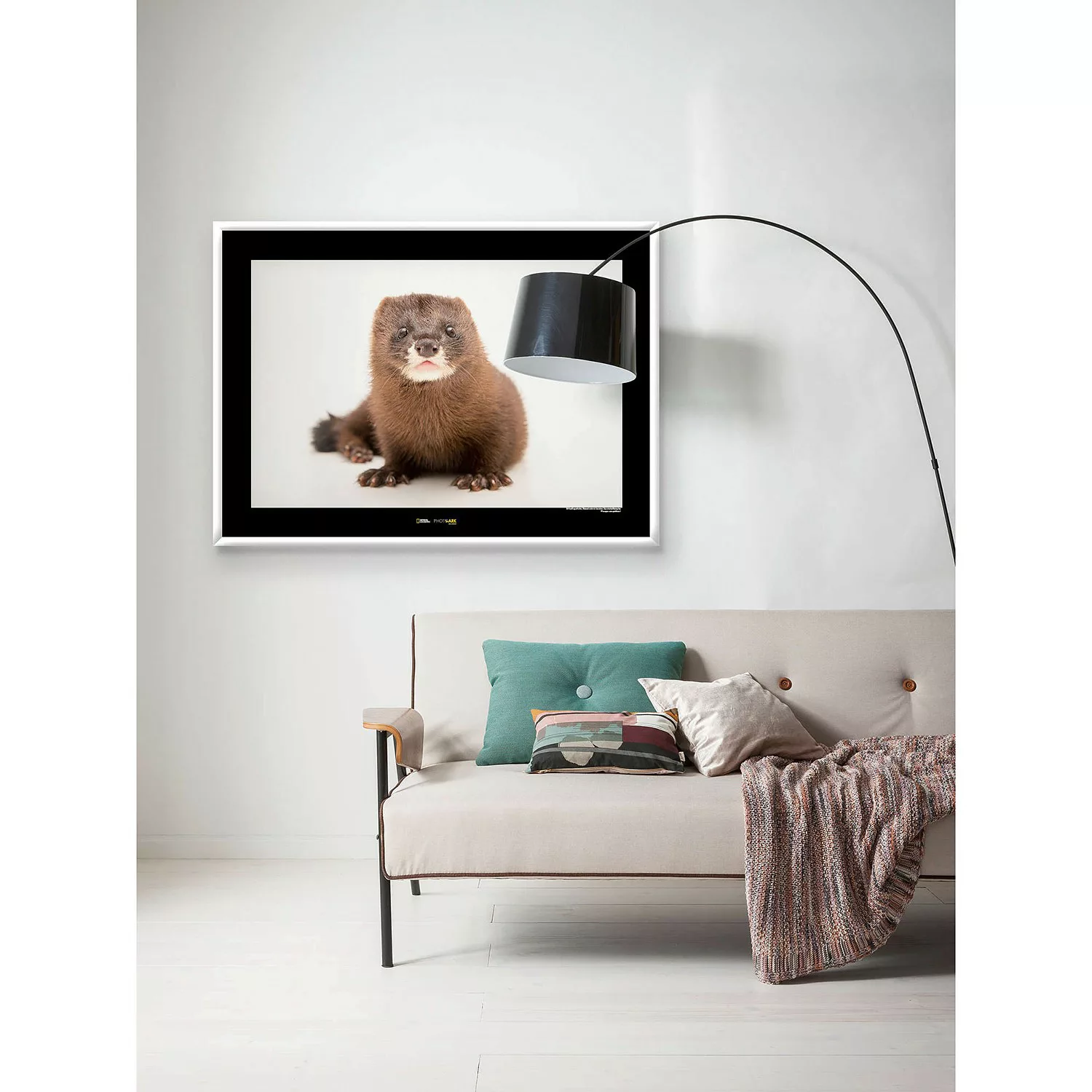 KOMAR Wandbild - European Mink - Größe: 70 x 50 cm mehrfarbig Gr. one size günstig online kaufen