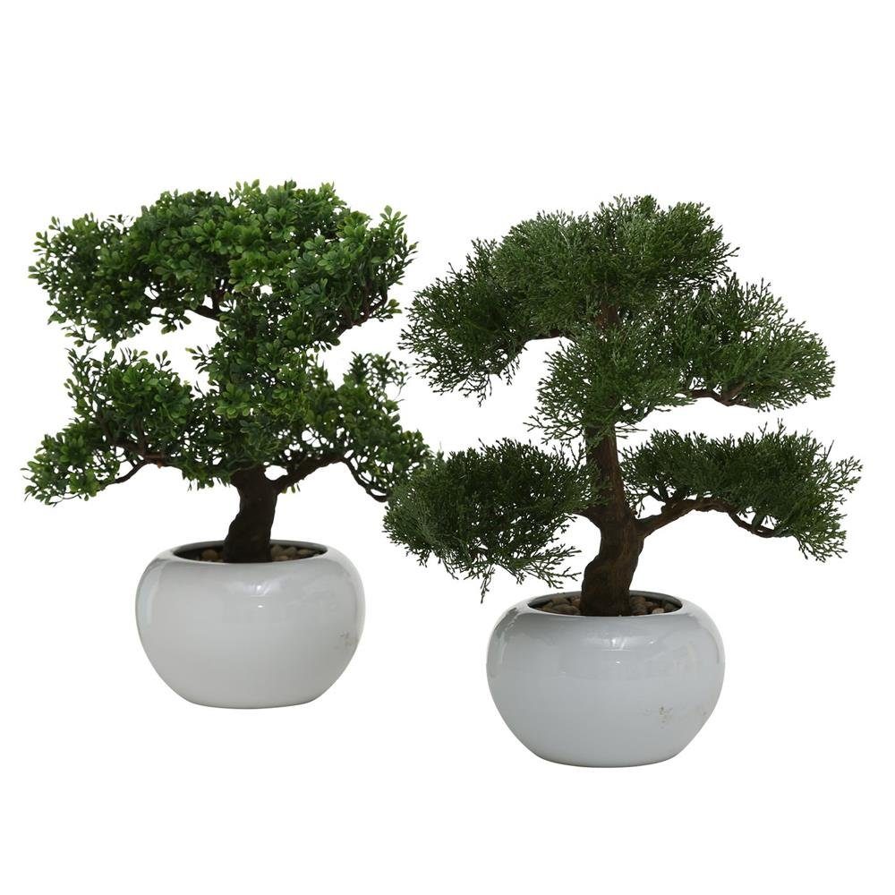 Kunstbonsai, BOLTZE, aus Kunststoff, Weiß / günstig online kaufen