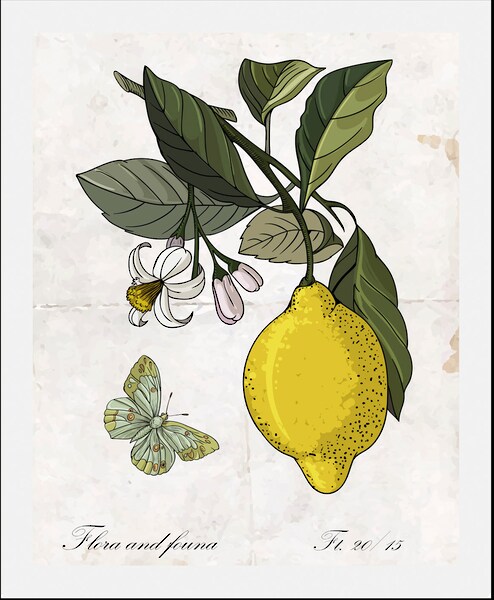 queence Bild »Enyo«, Obst-Obst Bilder-Essen-Lebensmittel-Kunst-Schriftzug-S günstig online kaufen