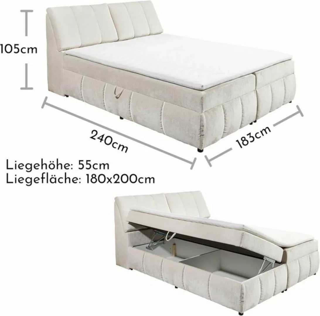 freiraum Boxspringbett Valencia 180, Stauraum, inkl. Topper, Ivory cream, 1 günstig online kaufen