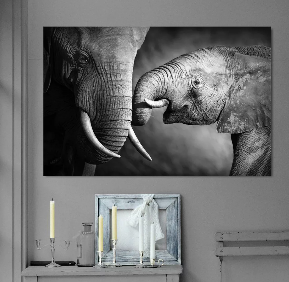 queence Leinwandbild "Elefant" günstig online kaufen