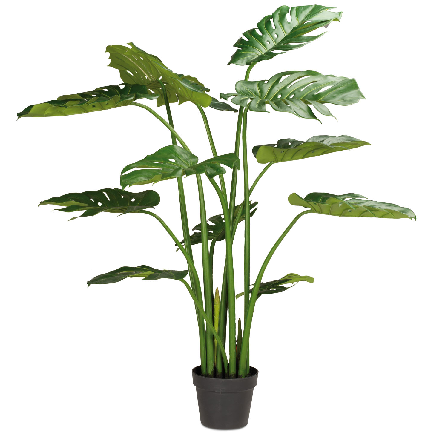 Fensterblatt - Monstera Kunstpflanze 120 cm günstig online kaufen