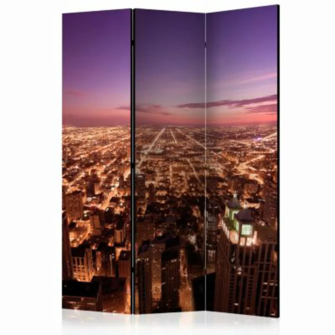 artgeist Paravent Chicago Panorama [Room Dividers] mehrfarbig Gr. 135 x 172 günstig online kaufen