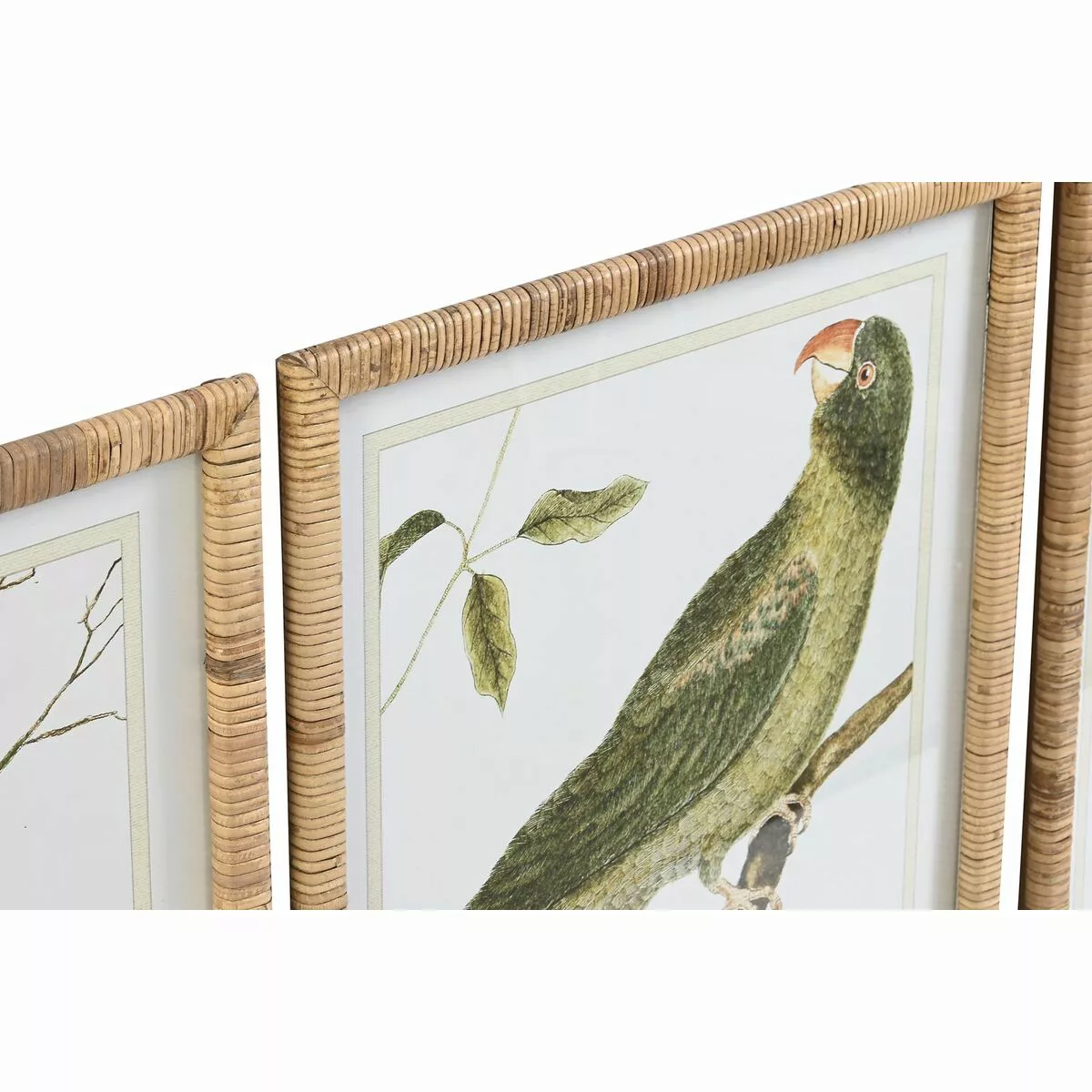 Bild Dkd Home Decor Tropical Vögel (50 X 2,5 X 60 Cm) (4 Stück) günstig online kaufen