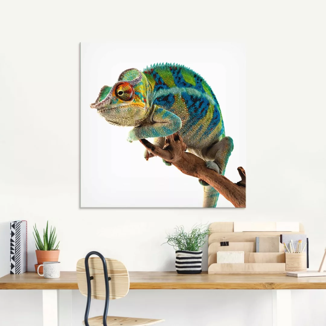 Artland Glasbild »Ambanja Panther Chamäleon«, Reptilien, (1 St.), in versch günstig online kaufen