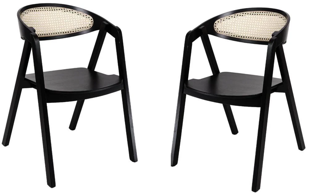 NADUVI Collection | 2er-Set Esszimmerstühle Lasse günstig online kaufen
