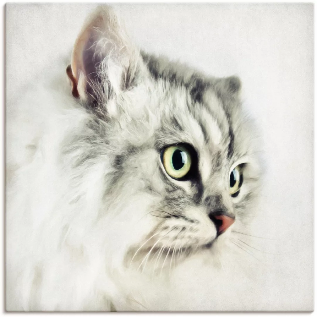 Artland Wandbild »Katzenporträt«, Haustiere, (1 St.), als Leinwandbild, Pos günstig online kaufen