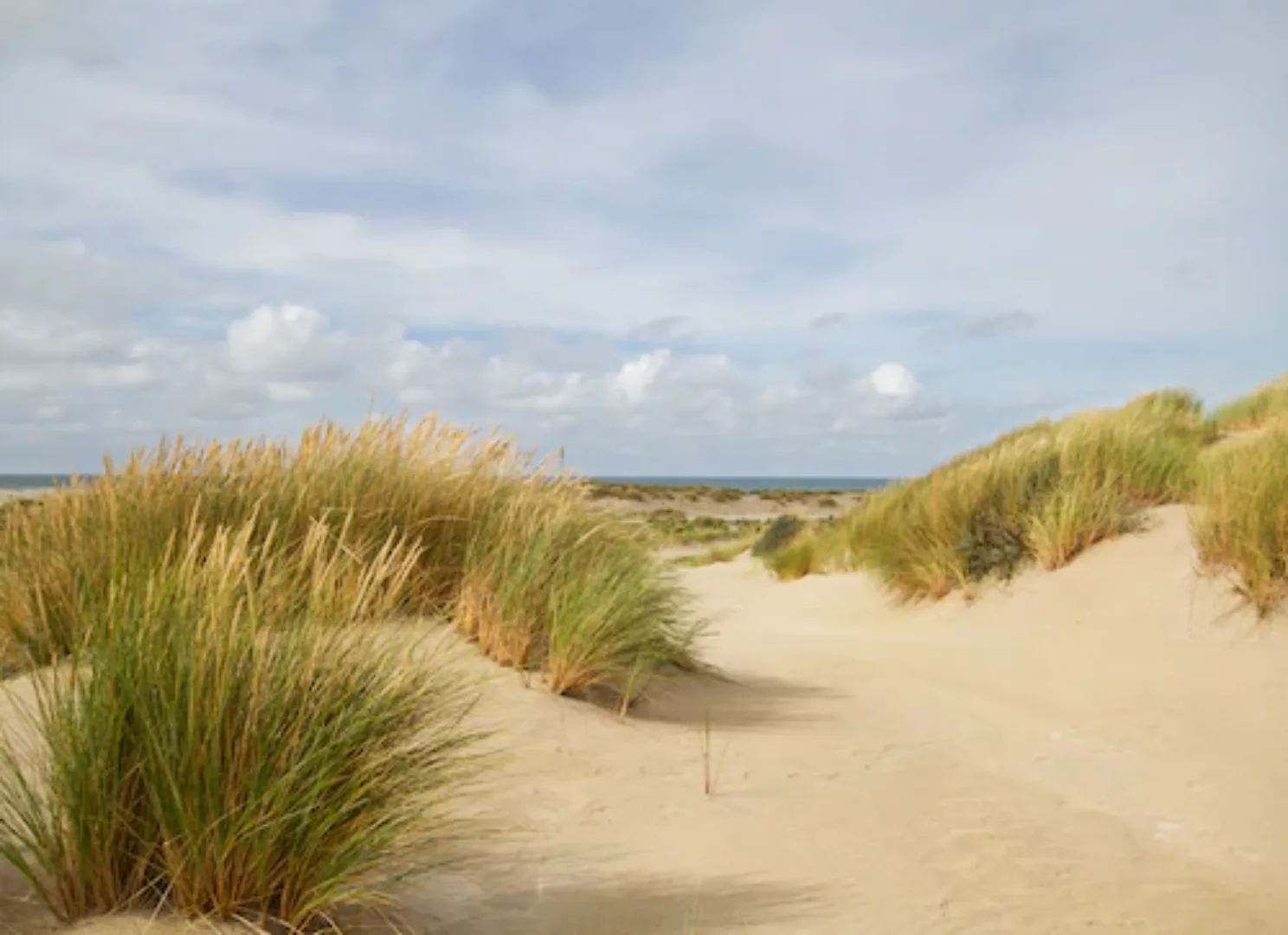 Papermoon Fototapete »Dunes Grass« günstig online kaufen