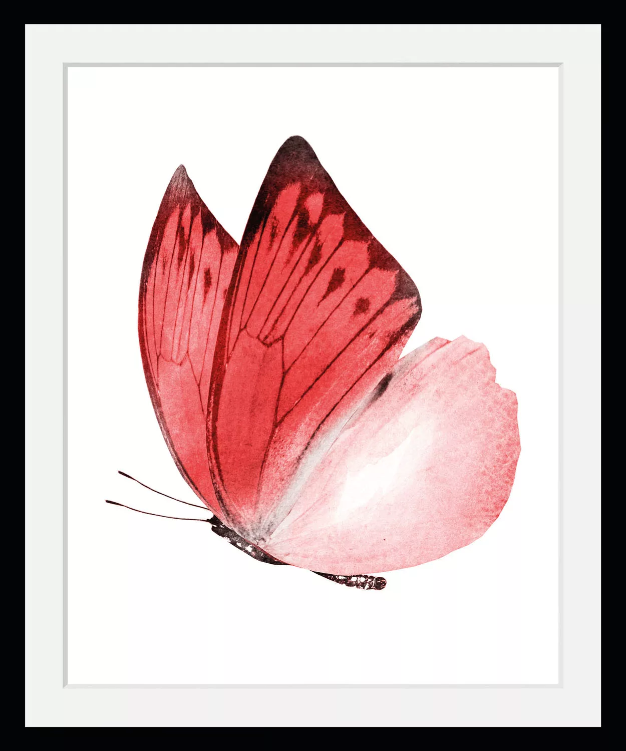 queence Bild »Liana«, Schmetterlinge, (1 St.) günstig online kaufen