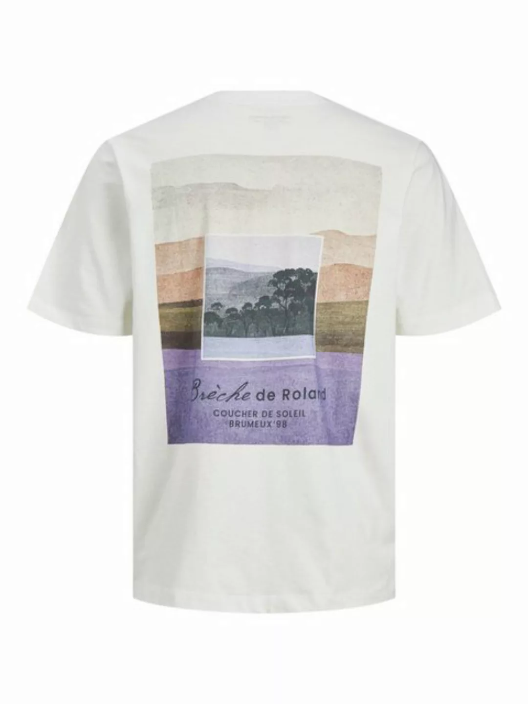 Jack & Jones T-Shirt TROY (1-tlg) günstig online kaufen