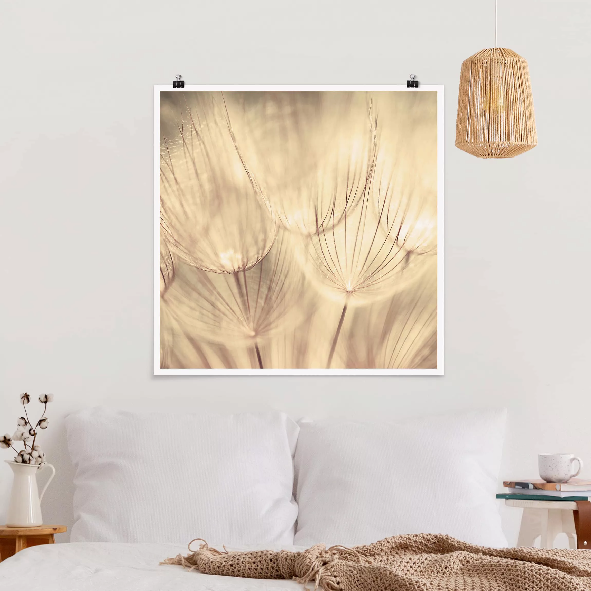 Poster Blumen - Quadrat Pusteblumen Nahaufnahme in wohnlicher Sepia Tönung günstig online kaufen