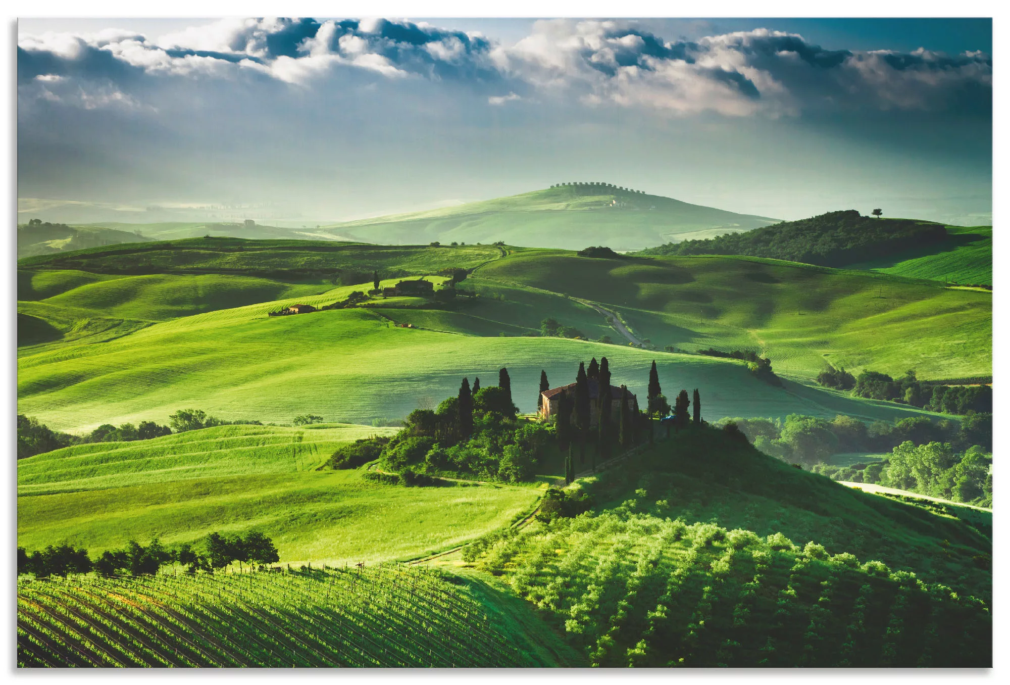 Artland Wandbild »Sonnenaufgang über einer Olivenfarm«, Felder, (1 St.), al günstig online kaufen