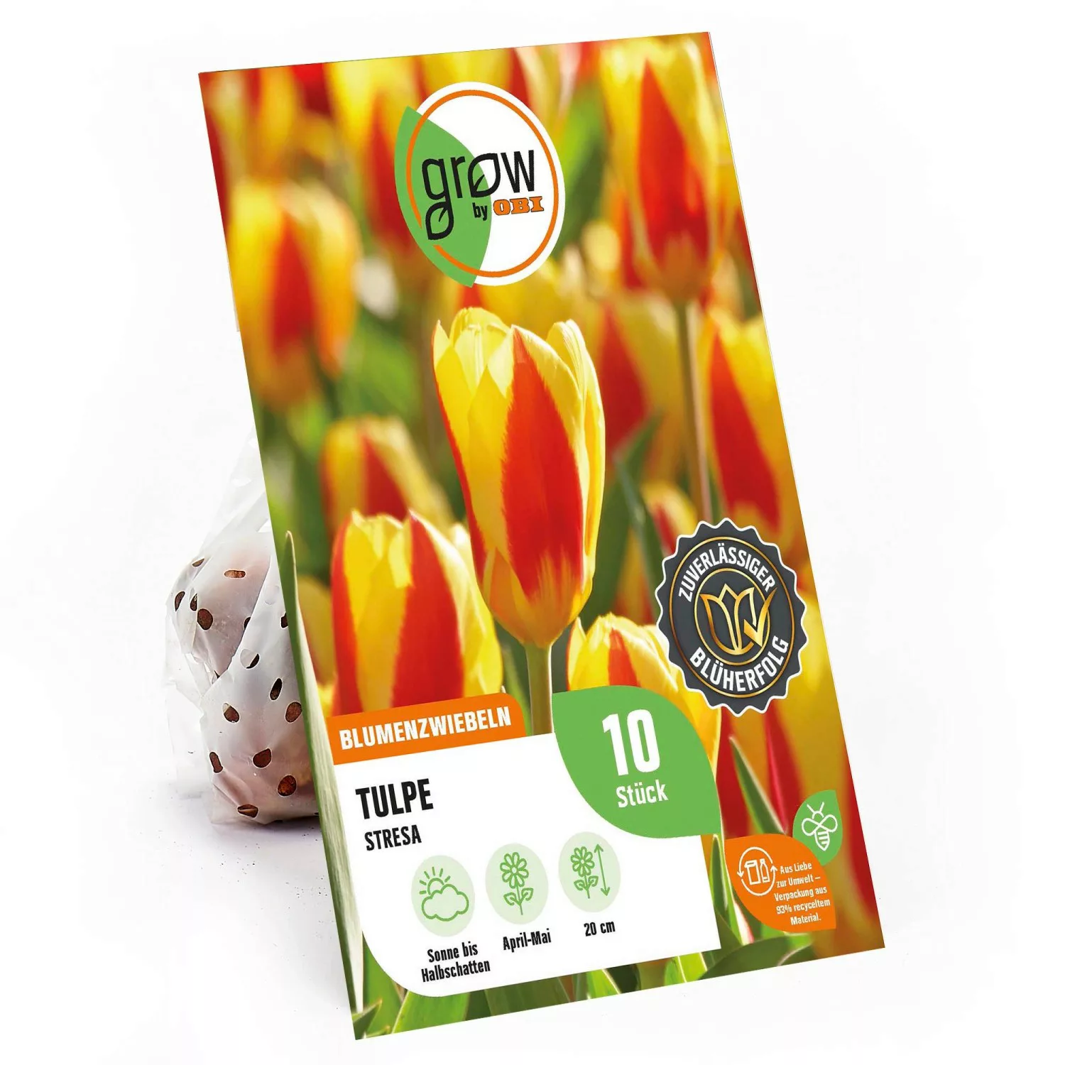 GROW by OBI Tulpe Stresa Gelb-Rot 20 cm Tulipa kaufmanniana günstig online kaufen