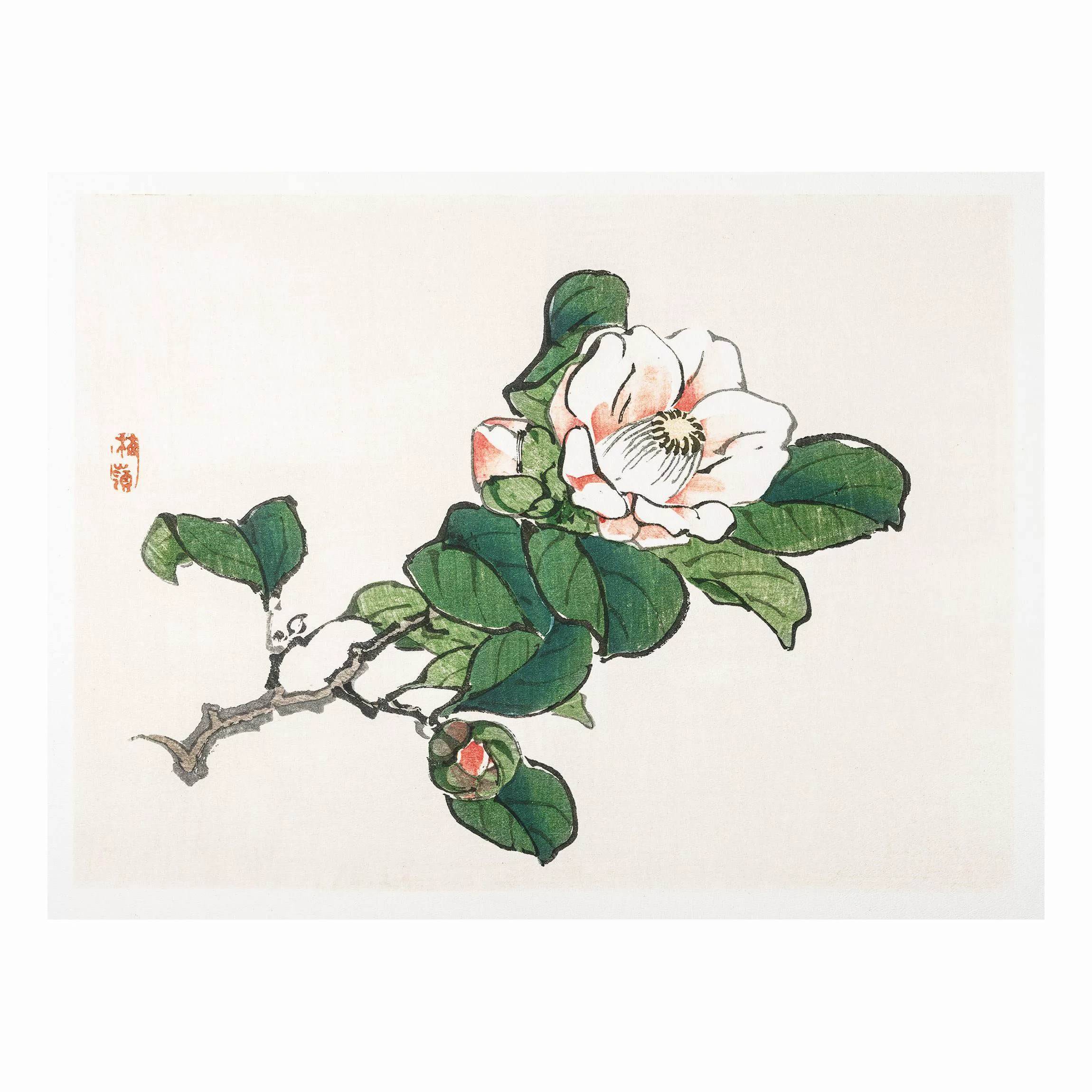 Forexbild Blumen - Querformat Asiatische Vintage Zeichnung Apfelblüte günstig online kaufen