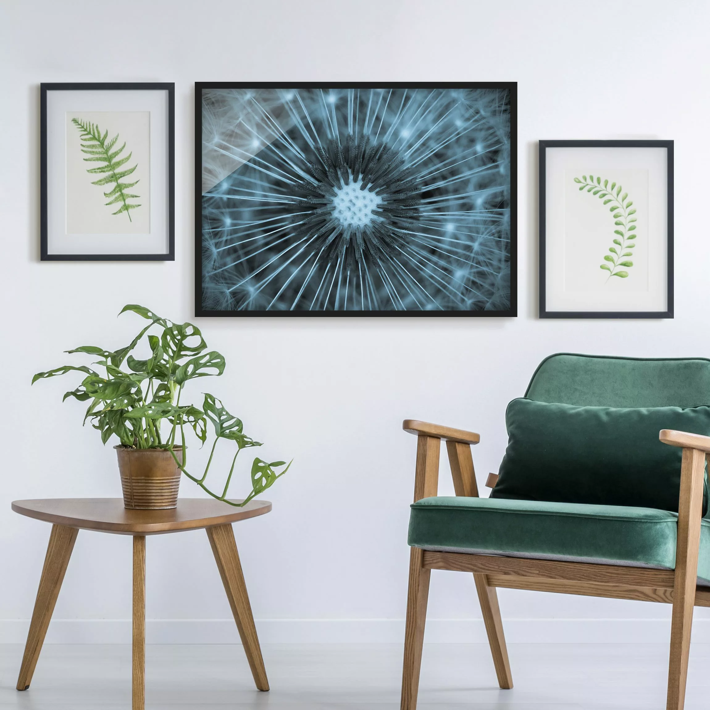Bild mit Rahmen Blumen - Querformat Blau getönte Pusteblume günstig online kaufen