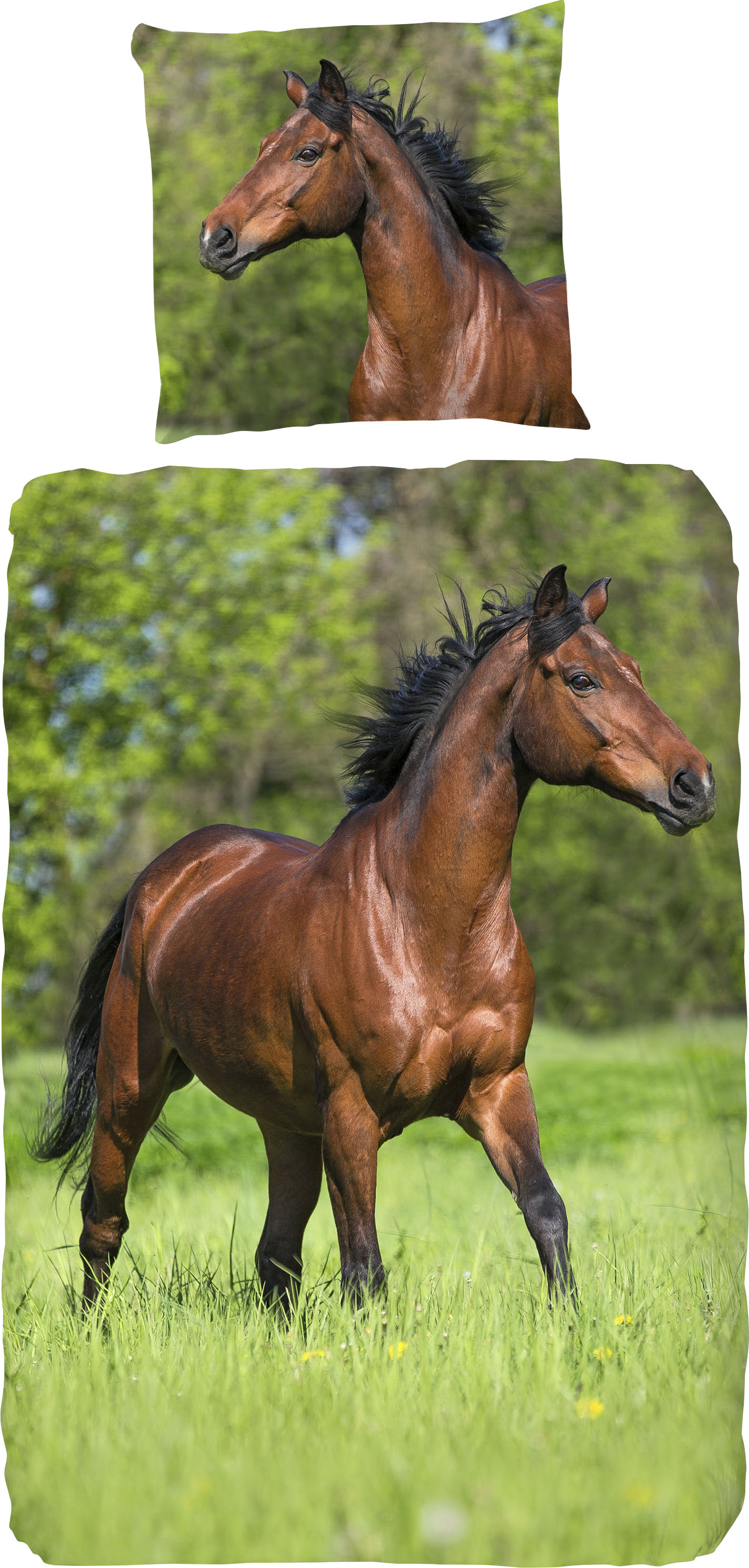 good morning Kinderbettwäsche »Running horse«, Baumwolle, 135x200, 2 Teilig günstig online kaufen