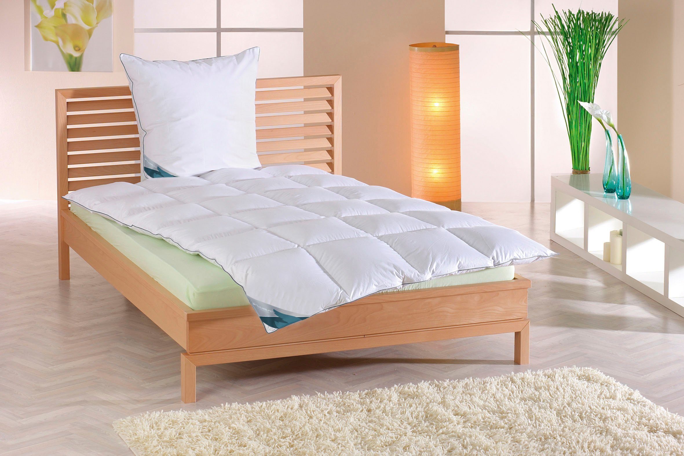Haeussling Daunenbettdecke »Kuscheltraum, 135x200,155x220 & weitere Größen« günstig online kaufen